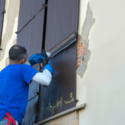 Crépis : optez pour une façade rustique et chaleureuse Fleury-les-Aubrais